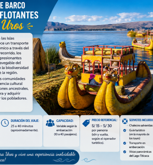 Projects captura de pantalla 2026 07 15 105900